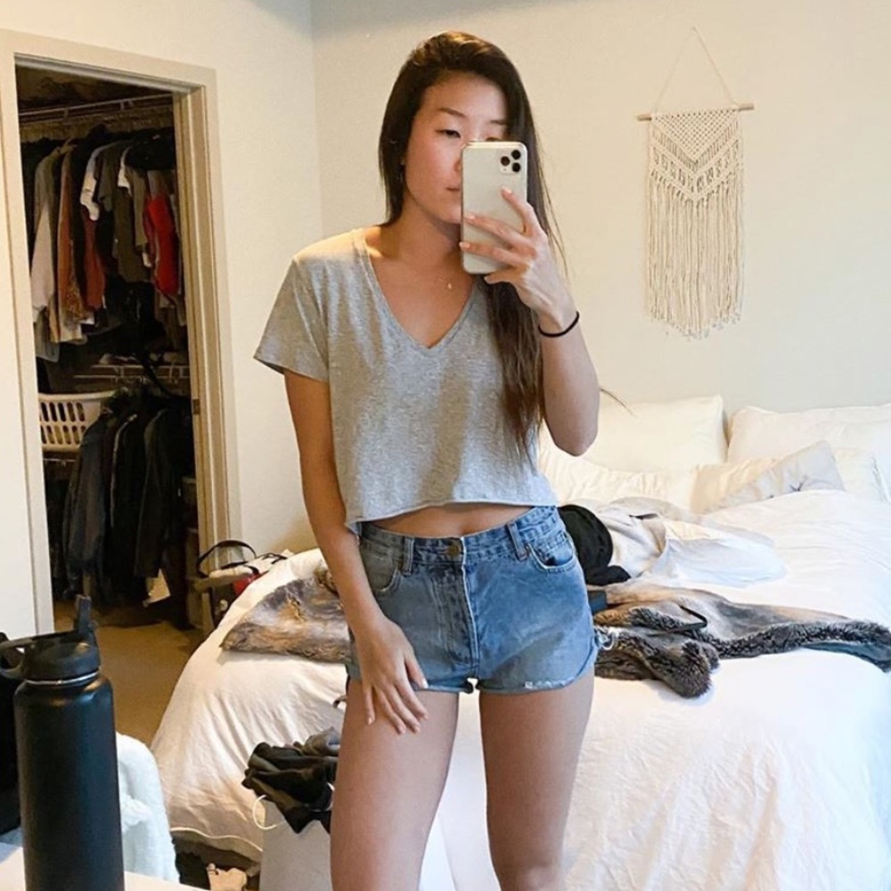 Brandy Melville Grey Tshirt Crop